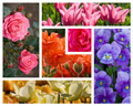 Creative Style, Inner Blocks Creative Style, Inner Blocks