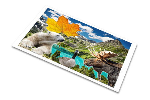 Step 4 - Final print ready for protective finish Canvas prints, Samples